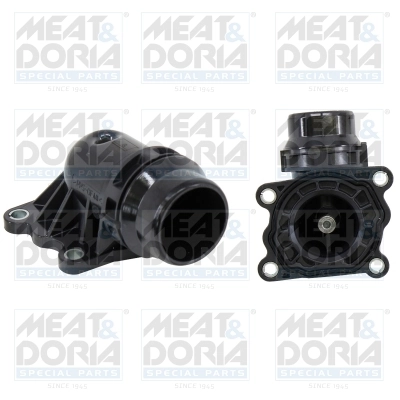 Thermostat, coolant